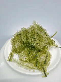 Hình ảnh Rong nho