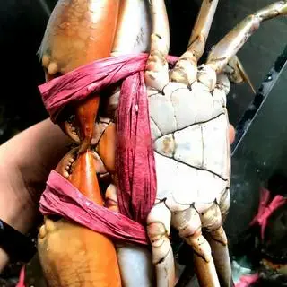 Hình ảnh Cua thịt lớn  1c 