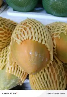 Hình ảnh Đu đủ Cắt sẵn