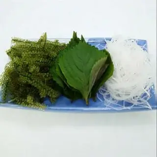 Hình ảnh rong nho+ lá tía tô+ cải bào.