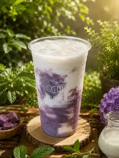 Hình ảnh Sữa Dừa Khoai Môn 
