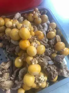 Hình ảnh lòng mề trứng non dồi non