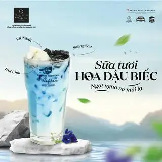 Hình ảnh Sữa tươi hoa đậu biếc