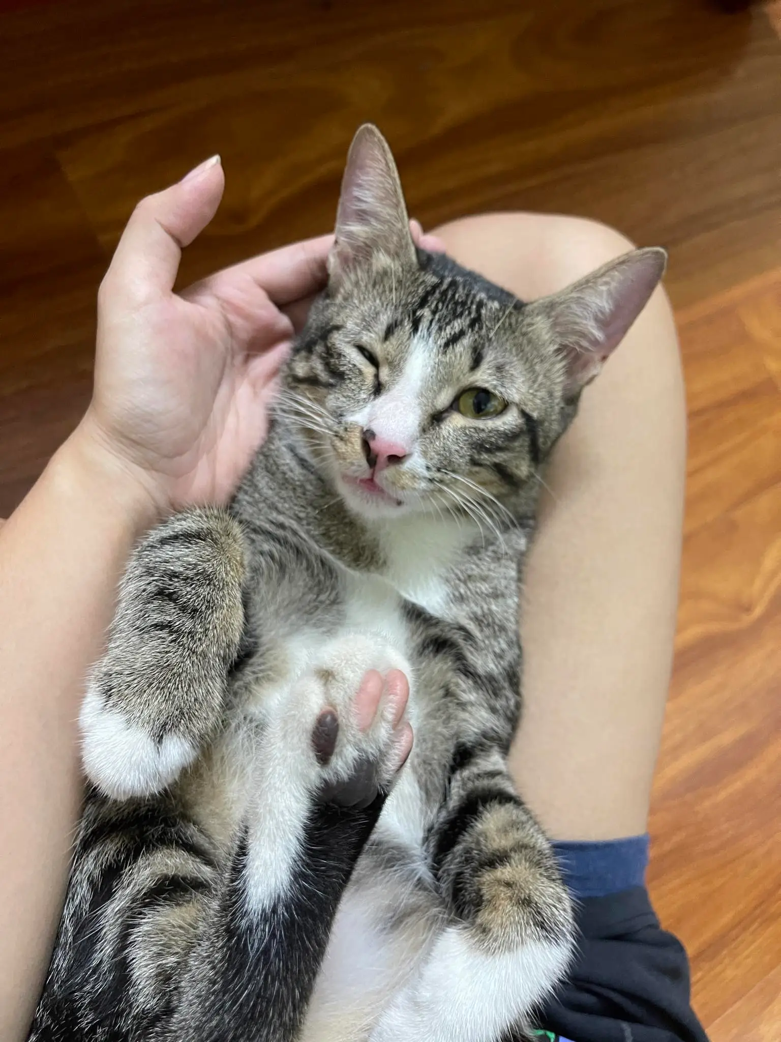 Hình ảnh chè đỗ đen