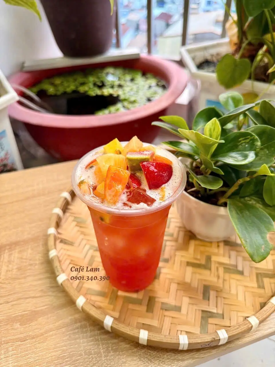 Hình ảnh Trà trái cây nhiệt đới