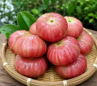 Hình ảnh Mận Hồng Đào cắt sẵn 