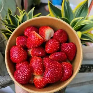 Hình ảnh DÂU TÂY (300GR)