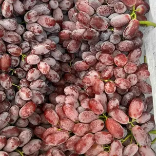 Hình ảnh Nho Ruby tròn (ngọt,ko hạt)