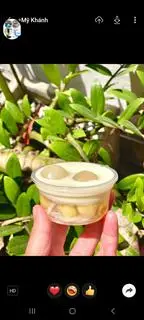 Hình ảnh Rau câu dừa sen nhản  4 hộp 