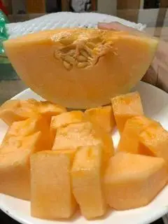 Hình ảnh dưa lưới ( cây nhà lá vườn)