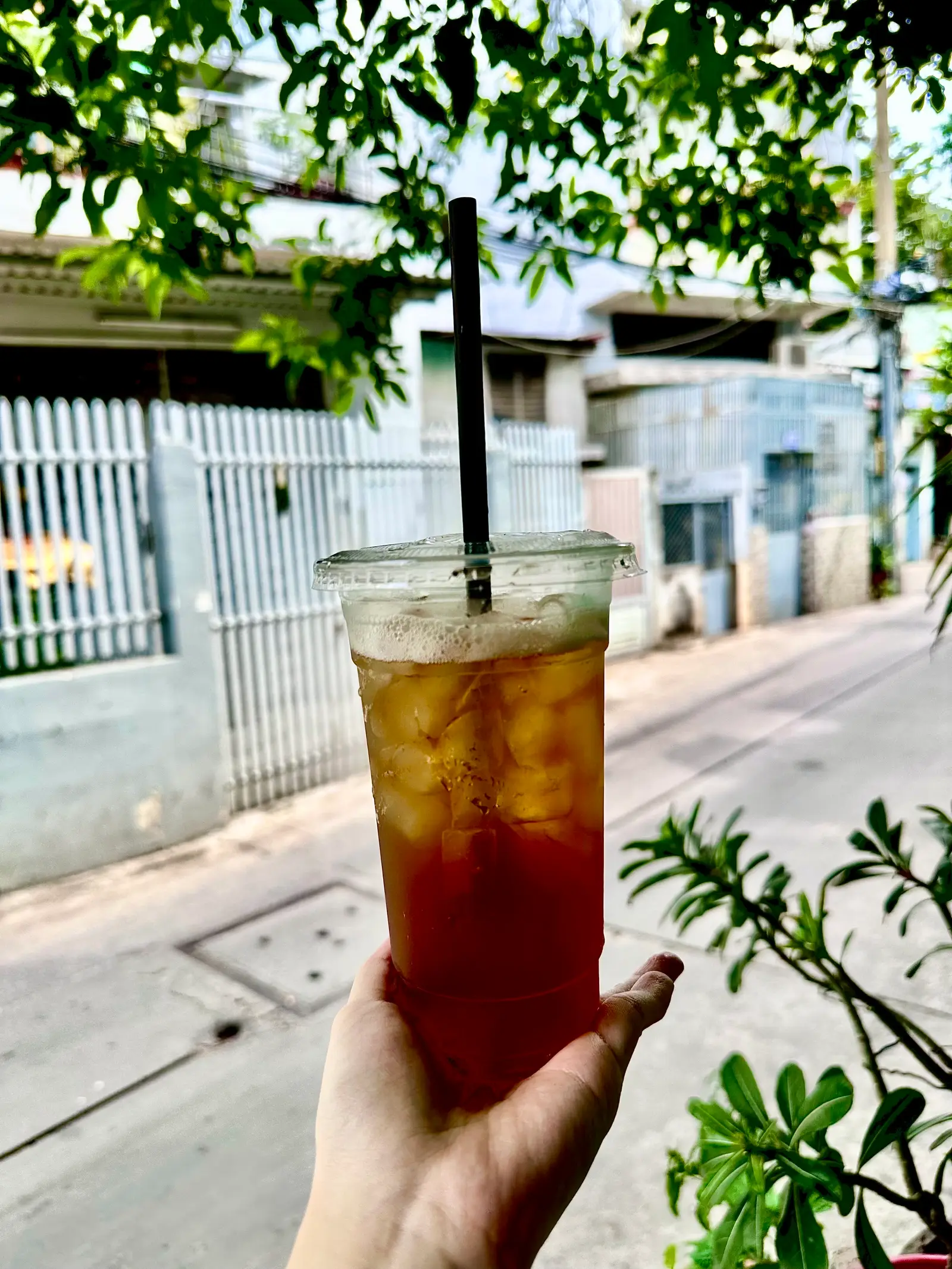 Hình ảnh Hồng Trà Sủi Bọt