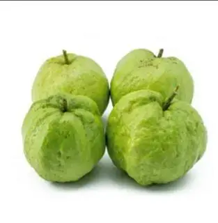 Hình ảnh Ổi Nữ Hoàng