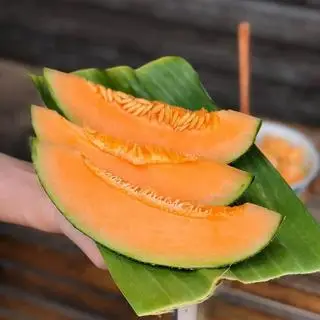 Hình ảnh dưa lưới cắt sẵn 