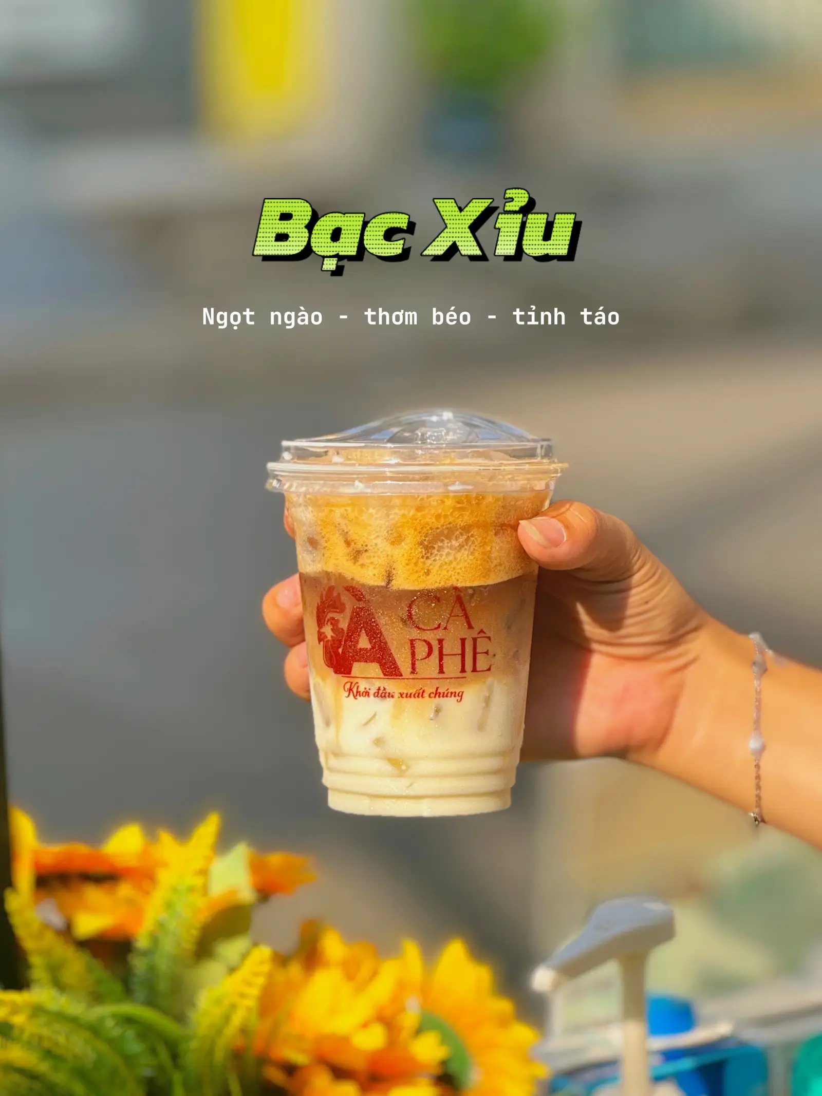 Hình ảnh Bạc Xỉu