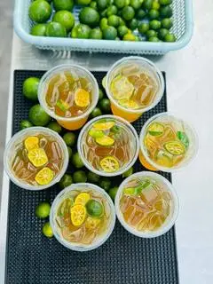 Hình ảnh Trà Tắc 