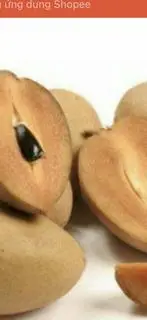 Hình ảnh Sabo dầm