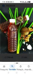 Hình ảnh Sâm lạnh hạt chia 