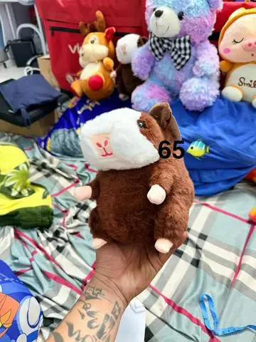 Hình ảnh chuột nâu