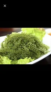 Hình ảnh rong nho tươi - Umi Budo + sốt mè