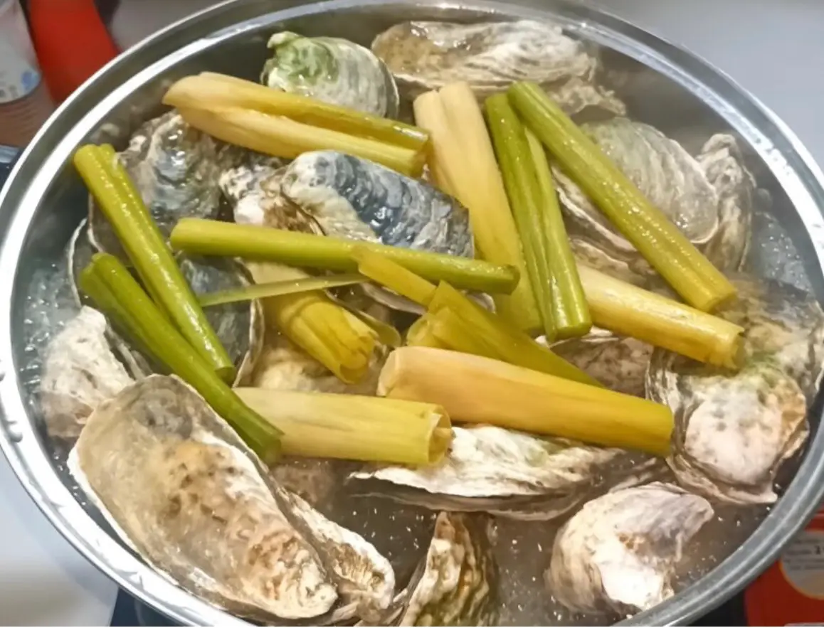 Hình ảnh Hàu Sữa Hấp
