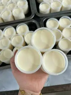 Hình ảnh Combo 5 Hũ Sữa chua sữa bò tươi