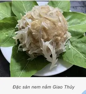 Hình ảnh nem nắm đặc sản nam đinh 