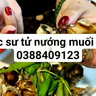 Hình ảnh Ốc Sư Tử Hấp