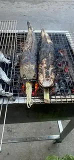 Hình ảnh cá lóc nướng 