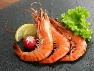 Hình ảnh Tôm