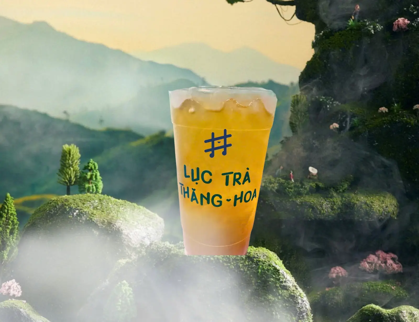 Hình ảnh Trà Bí Đao Thăng Hoa