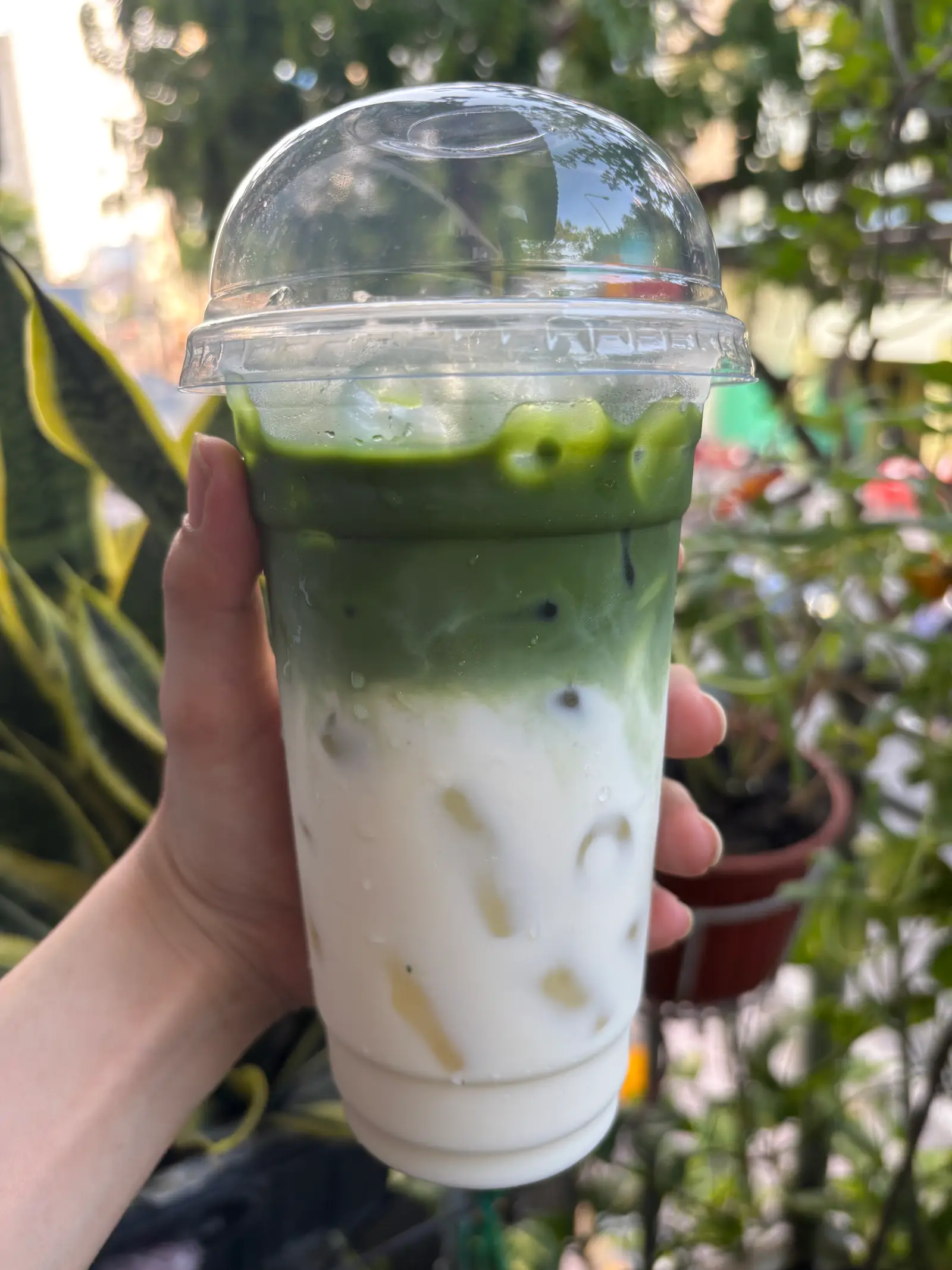 Hình ảnh Matcha Latte