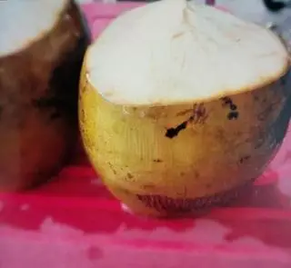 Hình ảnh dừa lạnh lớn