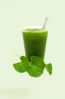 Hình ảnh Rau Má Ly Lớn