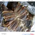 Hình ảnh Khô cá (đuối) nướng - 1 Con