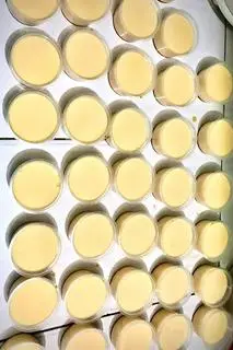 Hình ảnh COMBO 10 HŨ BÁNH Flan 
