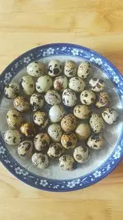 Hình ảnh Trứng cút 