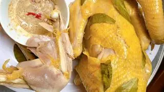 Hình ảnh Gà trống lớn full body 