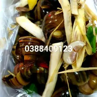 Hình ảnh Ốc Nhồi Xào Me Dừa