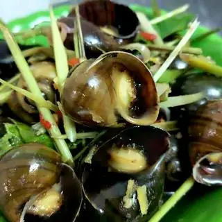 Hình ảnh Ốc Lẫn Luộc