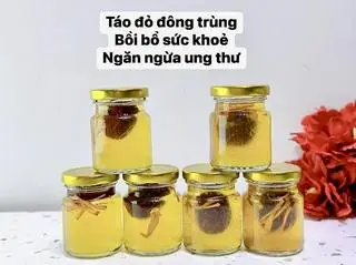 Hình ảnh YẾN CHƯNG TÁO ĐỎ ĐÔNG TRÙNG