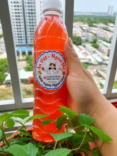 Hình ảnh Nước Tía Tô