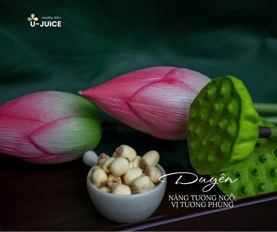 Hình ảnh Duyên - sữa hạt vị ngẫu nhiên