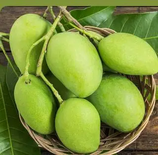 Hình ảnh Xoài 