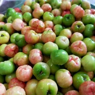 Hình ảnh COMBO 5 CHAI NƯỚC ÉP SƠ RI NGUYÊN CHẤT