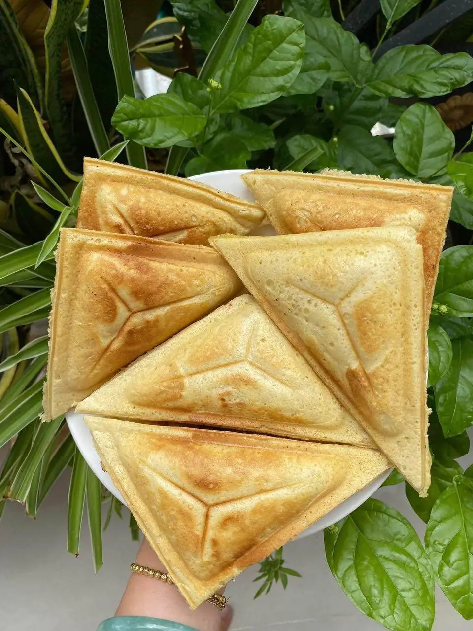 Hình ảnh Patê