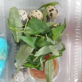 Hình ảnh bánh tráng chấm trứng cút 