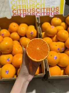 Hình ảnh Quýt úc chuẩn