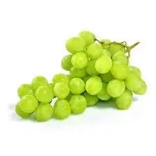 Hình ảnh Nho Sữa Xanh