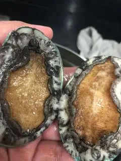 Hình ảnh Cháo bào ngư hầm nấm sốt  ngô ngọt size L