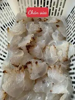 Hình ảnh Chân Sứa